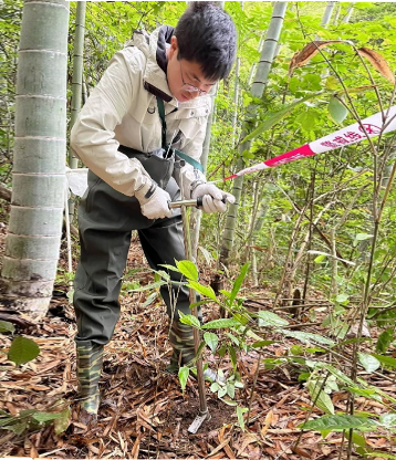 人站在树林里低可信度描述已自动生成